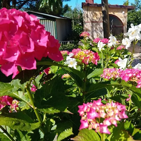 Dvokrevetna Soba S Posebnim Ulazom Markovic בית הארחה רובינייסקו סלו