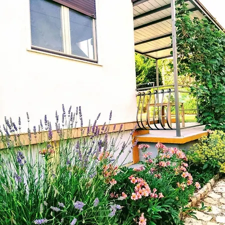 Guest house And Markovic