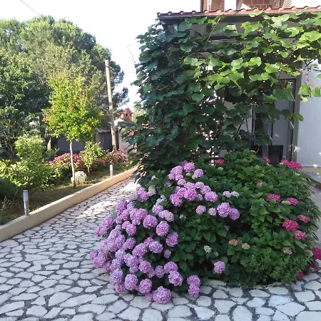And Markovic Guest house