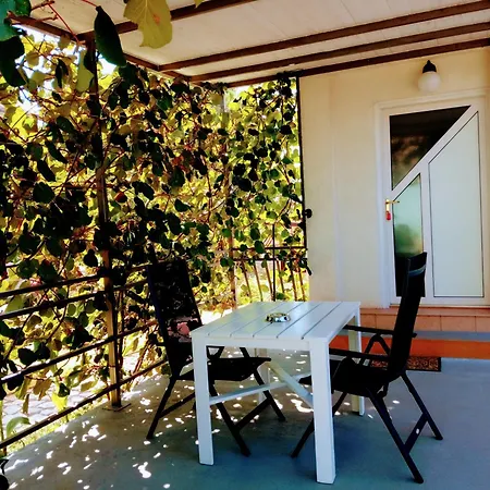 And Markovic Guest house 3*