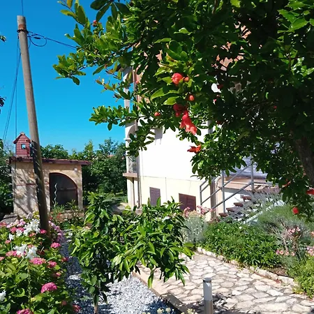 Guest house And Markovic 3*