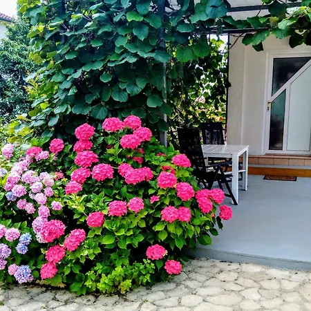 And Markovic Guest house Rovinjsko Selo