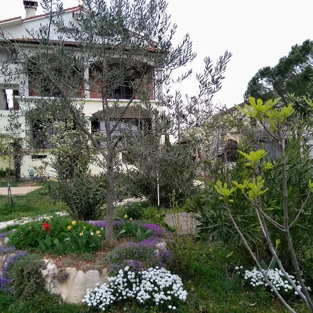 And Markovic Guest house Rovinjsko Selo
